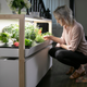 Illustration for article titled This Kitchen Garden System Adds Microgreens (and Alexa) To Your Lockdown Diet